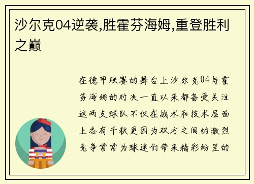 沙尔克04逆袭,胜霍芬海姆,重登胜利之巅