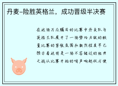 丹麦-险胜英格兰，成功晋级半决赛
