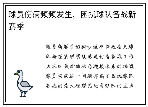 球员伤病频频发生，困扰球队备战新赛季